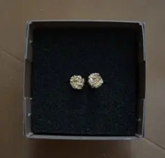 Laboratorium ピアス