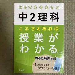 とってもやさしい　中2 理解