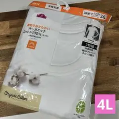 メンズ　半袖丸首　インナーシャツ　厚地　白　2枚組　3XL 大きいサイズ