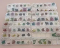 ドライフラワー ビーズ・アクセサリー