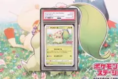 PSA10＊チコリータ ポケモンカードステーション プロモ 世界29枚 希少 PSA10＊チコリータ ポケモンカードステーション プロモ 世界29枚