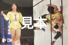 女子プロレス 美咲華菜、府川由美写真