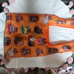 東京ディズニーリゾート エコバック