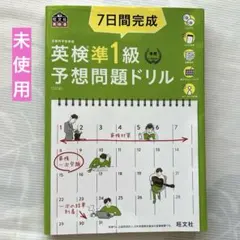 ✳️未使用✳️7日間完成英検準1級予想問題ドリル 文部科学省後援　英検　準1級