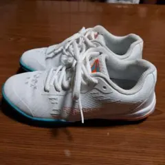 Item thumbnail for item 4cb9bad1-8a78-49c3-b37a-77fe7056d94c