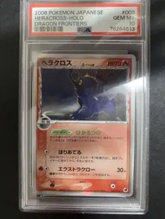 2025年最新】ヘラクロスδデルタ種の人気アイテム - メルカリ