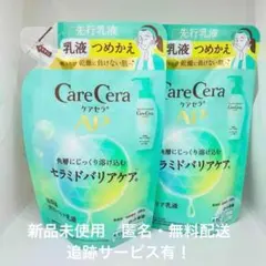 Item thumbnail for item 2b352530-4784-40af-87f2-189d5ed67f95