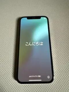 iPhone12 Pro SIMフリー 128GB 北米で購入しシャッター音なし