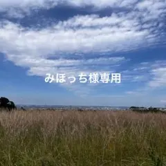 みほっち様専用ページ