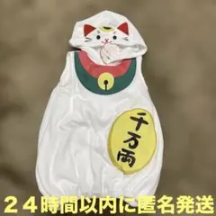 Item thumbnail for item 9f0a3866-a153-4f9e-aa6c-368a99163e4c