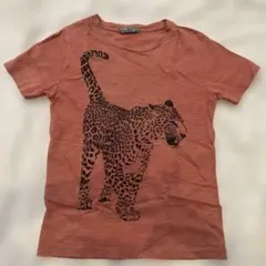 ボンポワン☆チーターTシャツ 6A 116センチのサムネイル