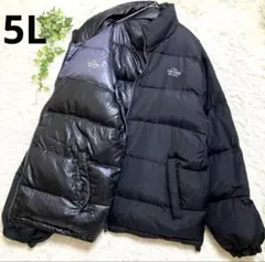 Item thumbnail for item 857fc667-0c0b-4205-96e8-6697231fd6f8