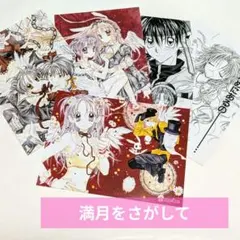 しばライオン同封❌様 リクエスト 2点 まとめ商品