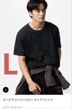 スーピマコットン Tシャツ