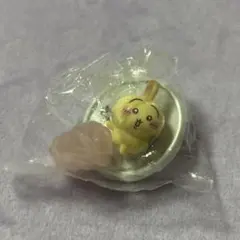 チョコサプ うさぎ