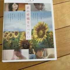 Item thumbnail for item 79d5485b-9005-43f4-babb-8f44ee5c30c5