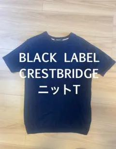 【レア】BLACK LABEL CRESTBRIDGE ニットT ネイビー