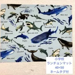 101 サメ事典 サックス ランチョンマット 40×50 小学校 入学 男子