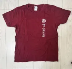 幡ヶ谷再生大学 Tシャツ 細美武士 BRAHMAN