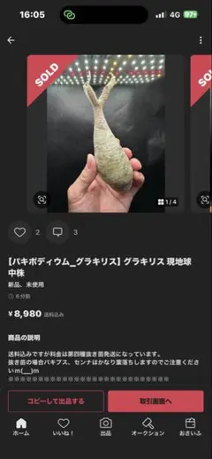 速達対応！！専用出品です、対象者以外は買わないようにお願いしますのサムネイル
