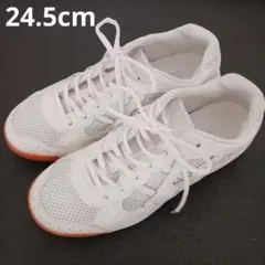 体育館シューズ　白　スニーカー　中学生　高校生 24.5センチ　スポーツ