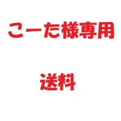 こーた様専用 送料のサムネイル