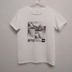 ザノースフェイス　 Tシャツ 前後ろロゴあり