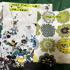 Item thumbnail for item c9cc1163-a9ba-402d-bd6c-9ff49e5188bf