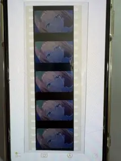 映画五等分の花嫁　特典　生コマフィルム　四葉　告白シーン　本日限定価格