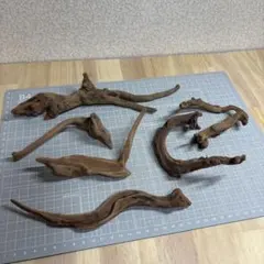 水槽用流木 6点セット　M309