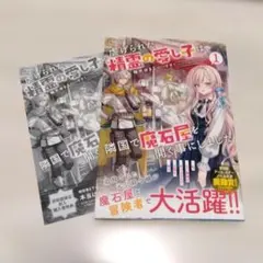 虐げられた精霊の愛し子は、隣国で魔石屋を開く事にしました