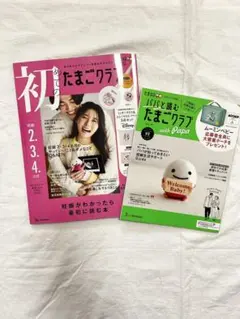 Item thumbnail for item 2d57fa1f-4548-49ff-92b1-bca97a40b7d4