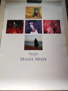 2026年最新】グッズ mizer maliceの人気アイテム - メルカリ