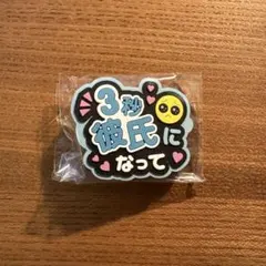 Item thumbnail for item 1a285a11-9241-464f-bc23-759b09cb7381