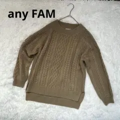 any FAM エニィファム ベージュ ケーブル編み ニットセーター 長袖 F