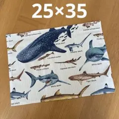 ランチョンマット25×35 ジンベエザメのサムネイル