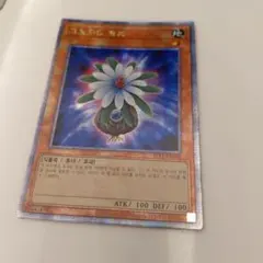 遊戯王　グローアップ・バルブ　アルティメット　英語版　レリーフ　米版 遊戯王 グローアップ・バルブ アルティメット 英語版 レリーフ 米版