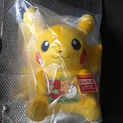 韓国限定 ポケモン Urban Forest ピカチュウ ぬいぐるみ - メルカリ