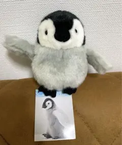 アラジンペネロペぬいぐるみ 希少品 うっかりペネロペ アラジン
