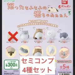 怒ったもふもふの猫ちゃあぁぁん　4種セット