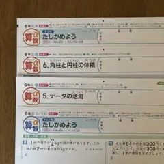 6年 算数　カラーテスト