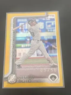 マリーンズ　ソト　50シリ