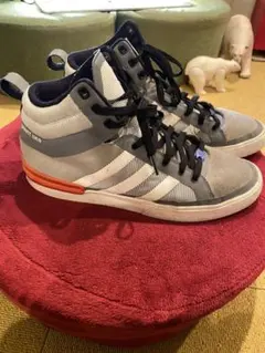 レア★adidas★アディダス「SPRINT WEB」ハイカット