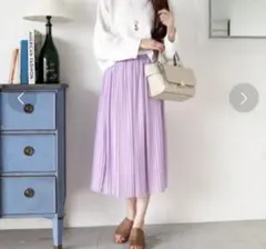 シフォンプリーツスカート N. Natural Beauty Basic