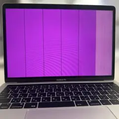 MacBook Pro 2019 13インチ A2159 ジャンク 液晶不良