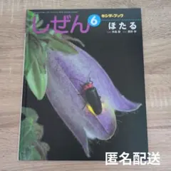 キンダーブック　しぜん 6 ほたる