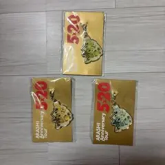 ARASHI 5×20 Anniversary Tour キーホルダー 3セット