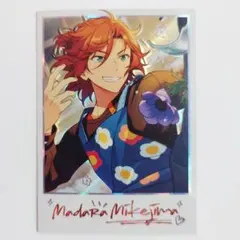 あんスタ 中国 星夢 絵趣 ポラロイド チェキ カード 三毛縞斑