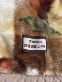 京都西川 2枚合わせ ふっくら毛布　冬用　シングルサイズ 140x200
