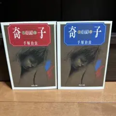 奇子　上下